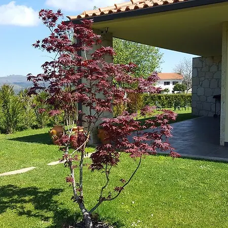 Casa Do Padreiro